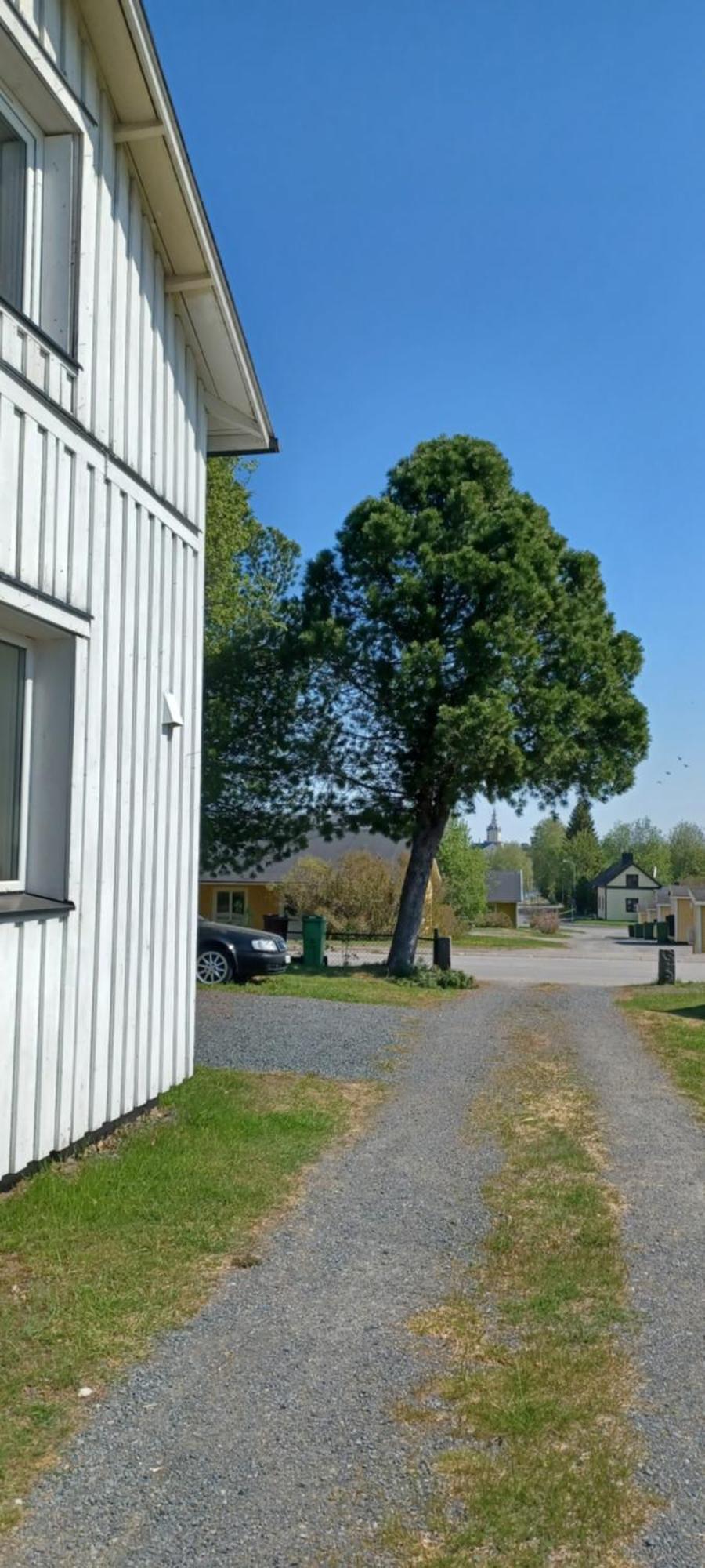 Vita Villan Haparanda  Exteriér fotografie